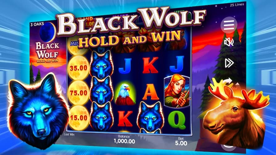 Black Wolf: Hold and Win