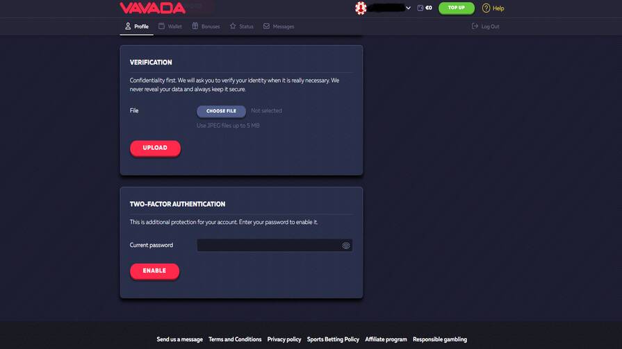 Верификация в Vavada