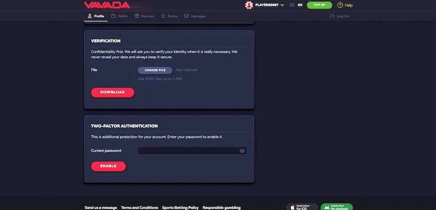 Верификация в казино Vavada