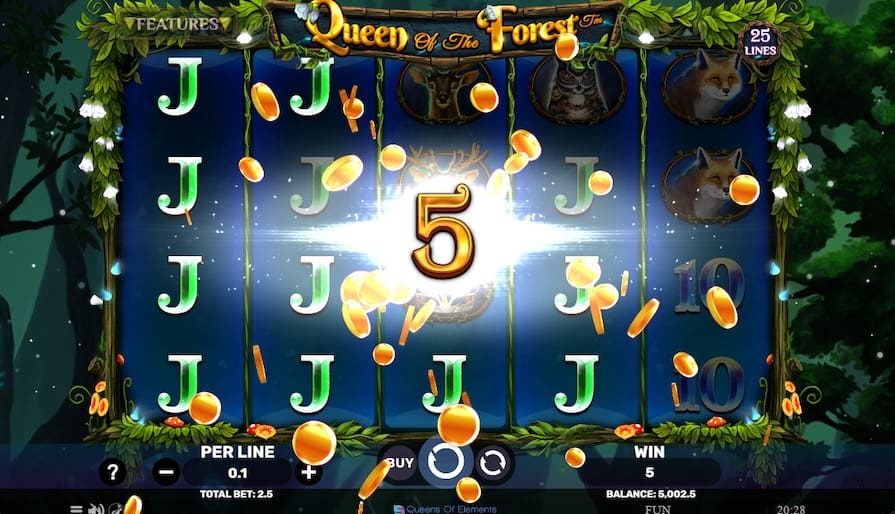 Дизайн игры Queen of the Forest
