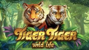 Слот Tiger Tiger
