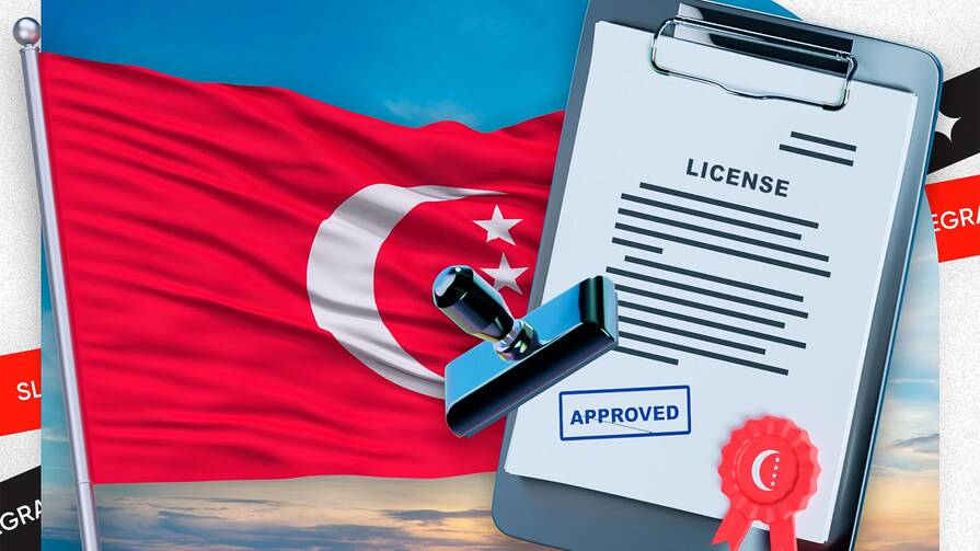 Лицензирование